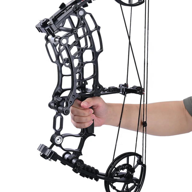 Strong Stability China Hunting Compound Bow Arrow Compound Bow