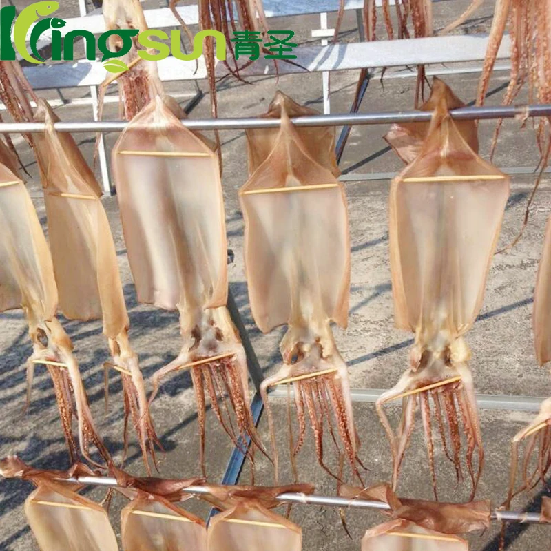 Good Price High Quality  wholesale supplier of all types of seafoods dried squid in squid