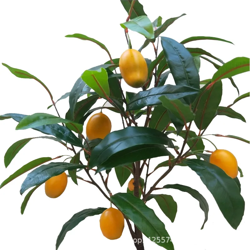 XRFZ Simulated Fruit Potted Tree Pomegranate Persimmon Tip Pepper Lemon Interior Decoration Green Plant Landscap