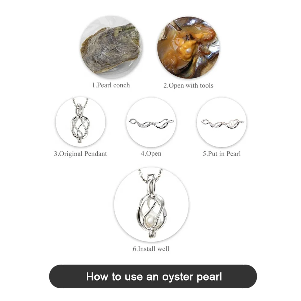 
6-7mm Vacuum Packed Akoya Shell Live Oysters Gift Loose Love AAAA Dyed Bulk Akoya Pearl Oyster With Pearl 