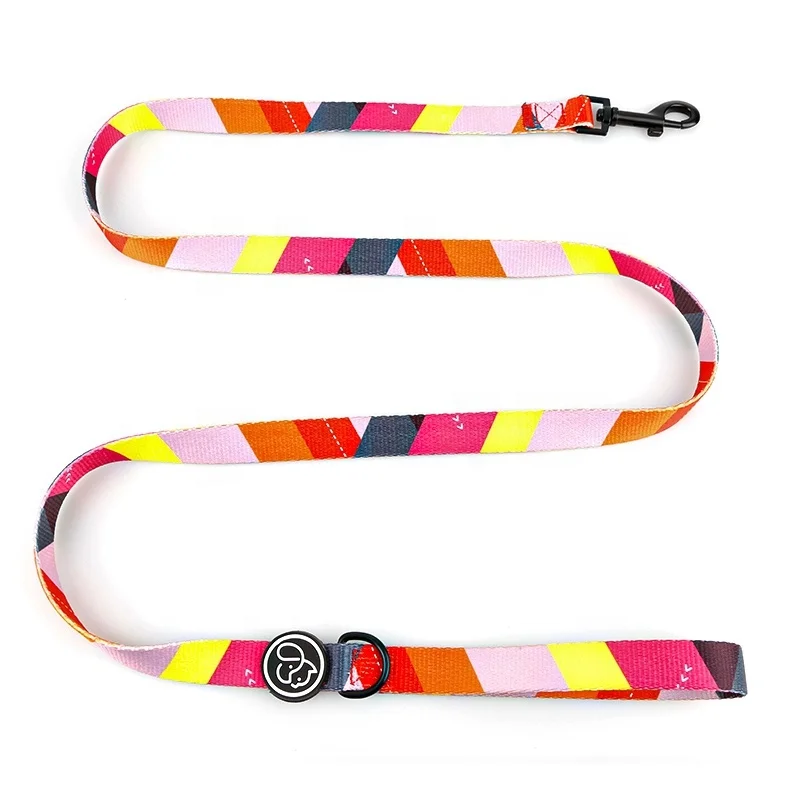 Wholesale Designer Colorful Sublimation Workmanship Pet Leash for Dog