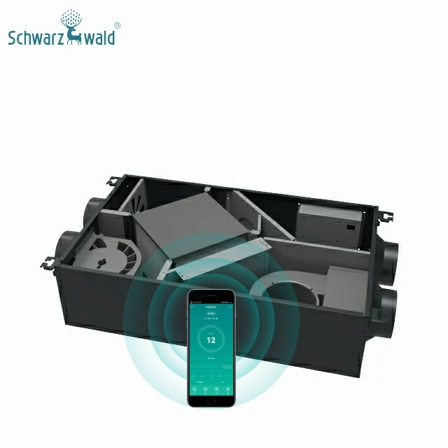 Schwarzwald OEM ODM Industrial heat exchange ventilation systems ESP for indoor air exchanger