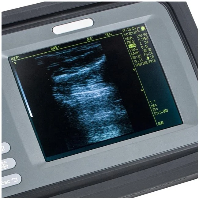 Veterinary Ultrasound Scanner Echography ultrasound Veterinary Sonar V8 Handheld Pet Vet Ultrasound Machine