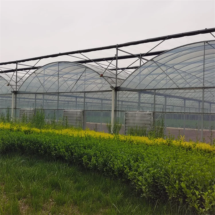 High quality hydroponic system customized hydroponic tower for agricultural greenhouse