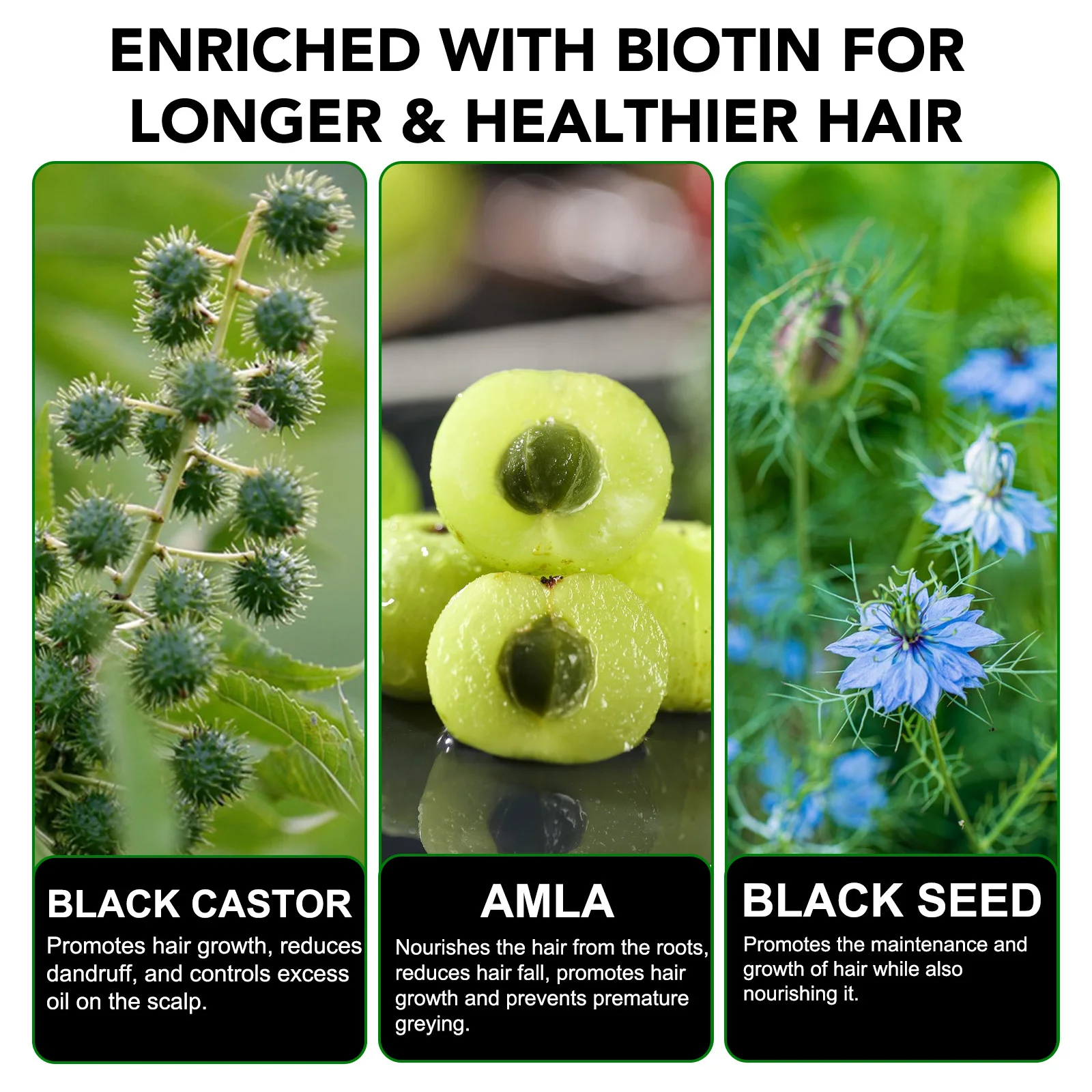 Hot Sale Natural Hair Hydrating Strengthens Shine Jamaican Black Castor Oil Shampoo and Conditioner with Biotin Black Seed Oil