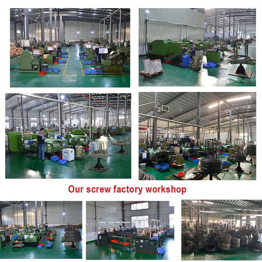 Customized Degin Brass Nickel Plating Chicago Screw for Electronics