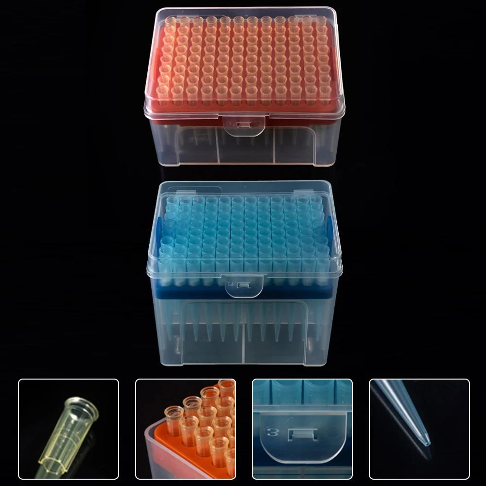 plastic bulk sterile 10ul filter micro pipette tips for laboratory DNase RNase Free