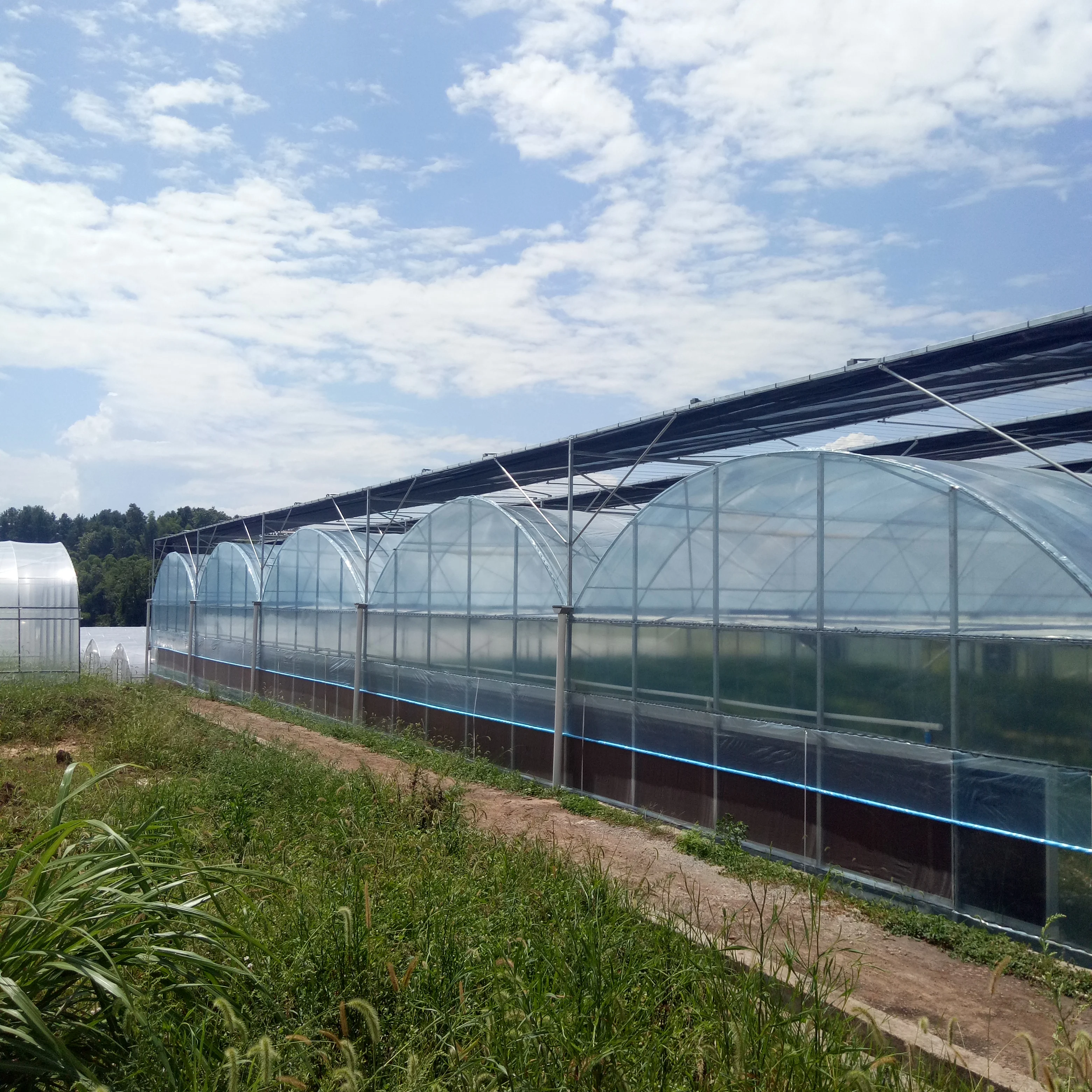 China Low Cost Energy Saving Solar Strawberry Film Multi-span Tunnel Plastic Film Greenhouse For Agricultural
