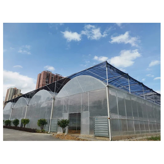 Factory price greenhouse plastic PE film multi-span greenhouse for growing vegetables and fruits