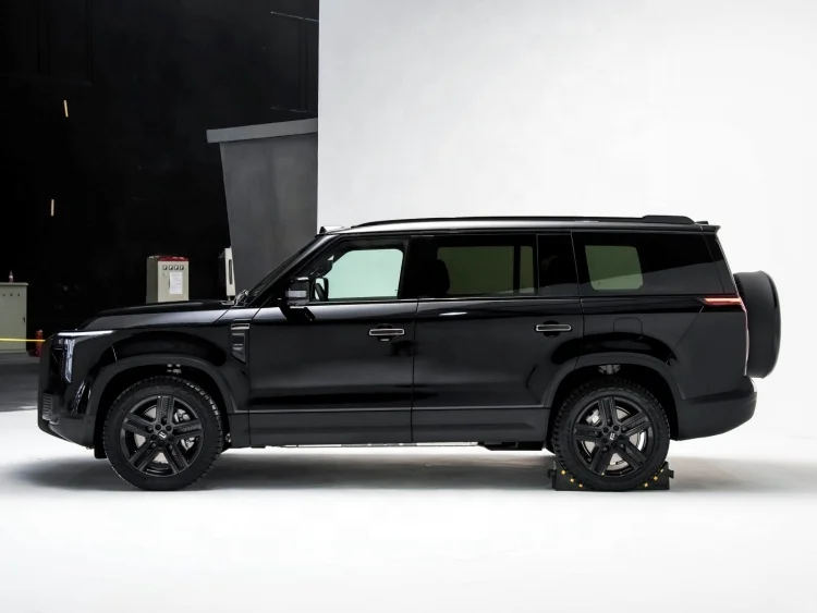 Новый ROX 01 Гибридный электромобиль 6/7 сиденья Awd 2024