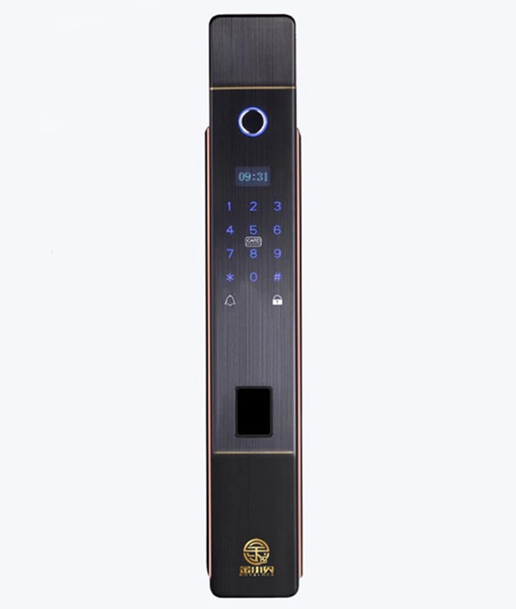 wholesale oem outdoor password electronic audio fingerprint gate smart digital door lock with camera
