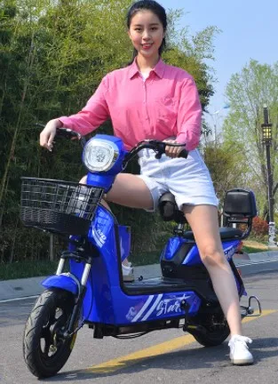 2021 New model popular in Vietnam two seats cheap 350W OEM ODM China electric city bike