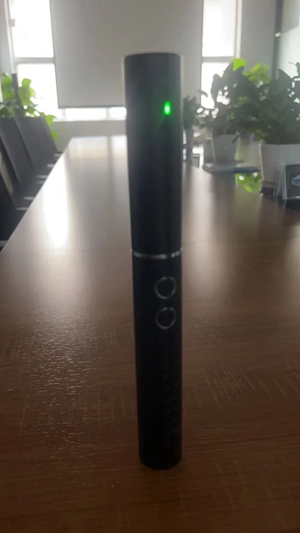 2020 New Arrival Medium Battery Powered Adult Ultrasonic Plastic Electric Toothbrush With Blue Light