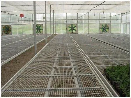 Hydroponic Greenhouse Equipment Hot Dip Galvanized Mesh
