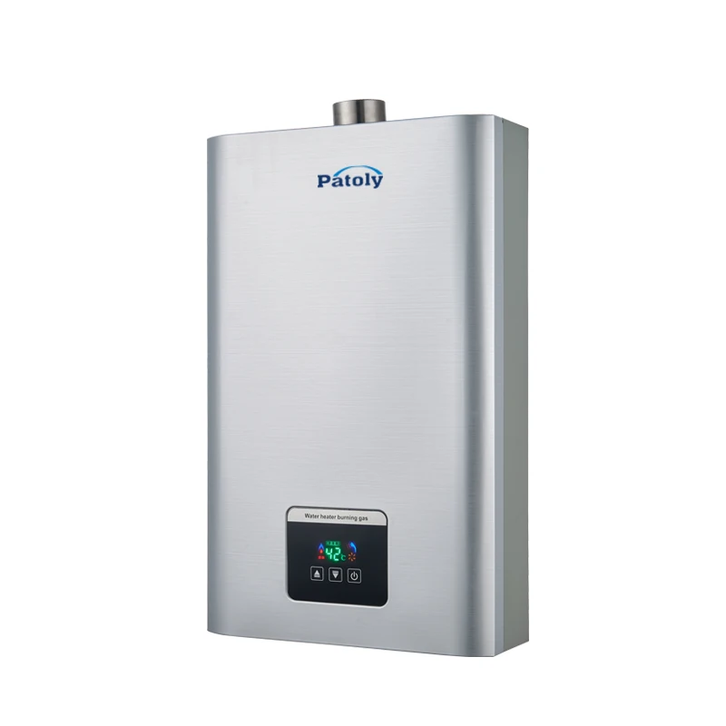 Professional manufacturer 6L 8L 10L 12L household instant gas water heater flue type lpg gas boiler tankless domestic gas geyser