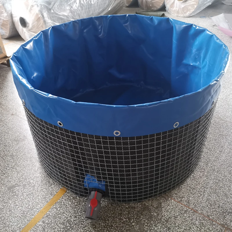 Customized Size Frame aquaponic system lobster pond fish farming equipment with cheap price