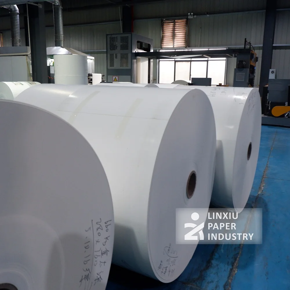 Versatile 200 gsm single PE coated paper roll for manufacturing paper cups and ice cream cups, perfect for printing