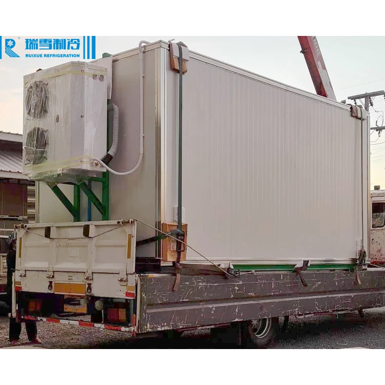 RUIXUE Condensing Unit For Cold Room Mini Air-cooled Refrigeration Condensing Unit RX-FNL-02MH
