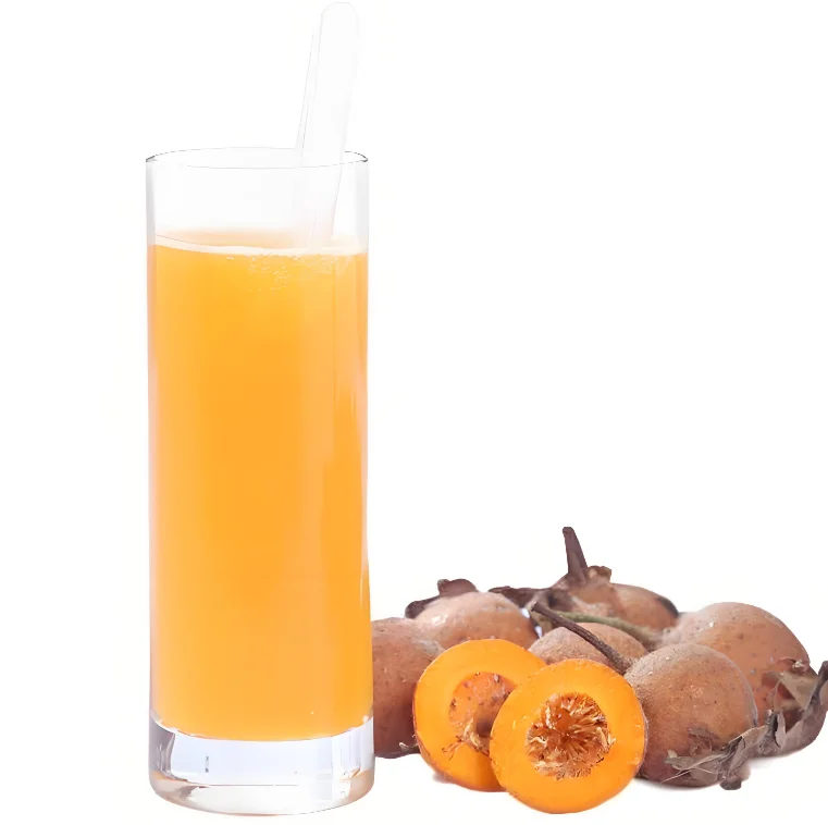 China supplier factory direct pure natural organic bulk fruit powder 90% roxburghii powder roxburghii juice powder
