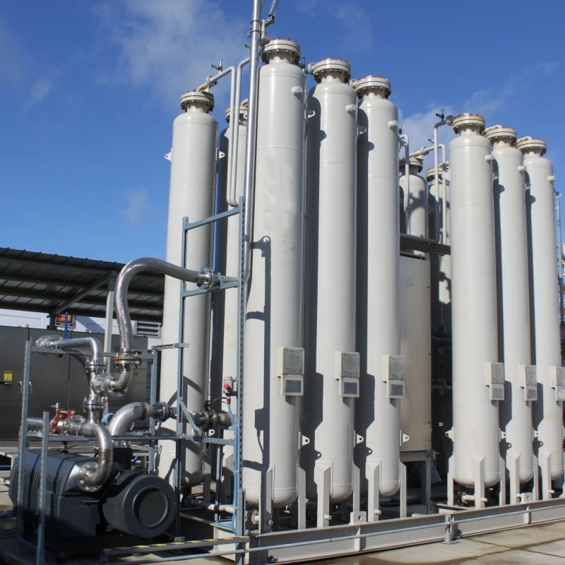 Advanced Biogas Separator 50-20000 Nm3/H Stable Operation PSA Home Biogas Plant for Piggery Farm