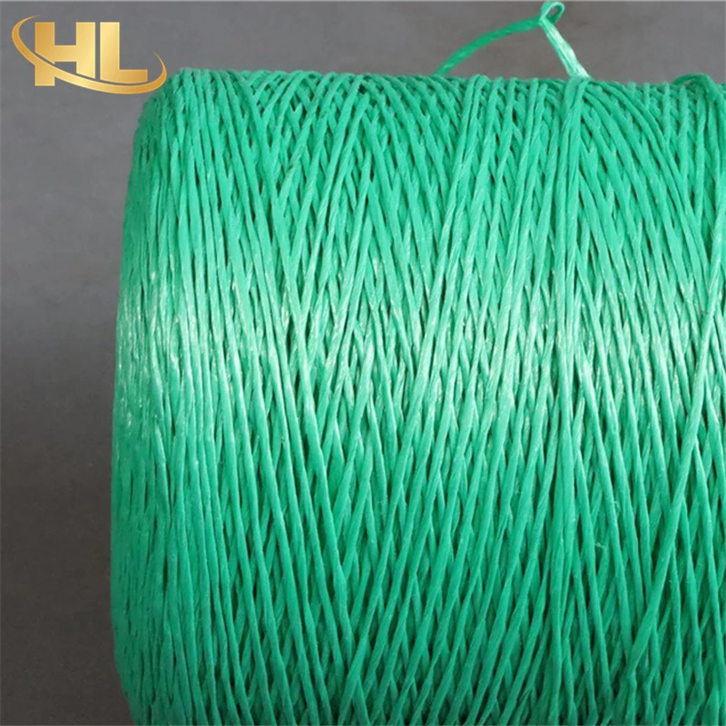 OEM Wholesale UV Treated Agro Greenhouse Horticulture Vegetable Fruit Plastic Packaging Rope Type Polypropylene Material PP