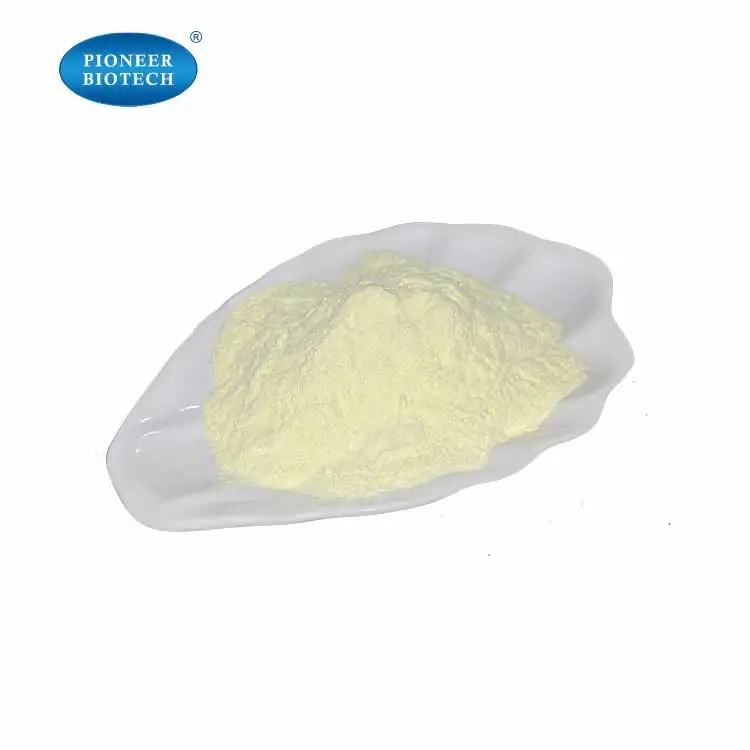 High quality Lemon Powder Lemon Fruit Juice Powder Lemon Flavour Powder