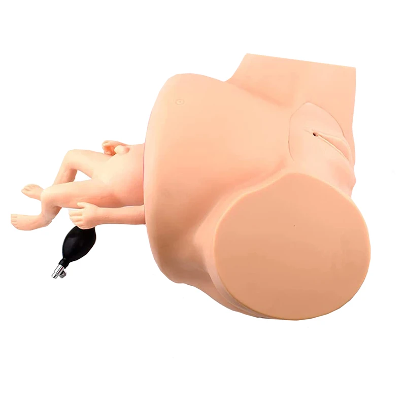 Medical Midwifery Training Model Difficult Labor Model Advanced Dystocia Simulator