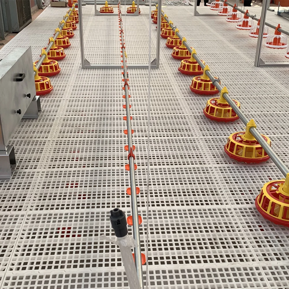 
Poultry Farming Equipment Nipple Drinker and Automatic Poultry Drinking System for Chicken 