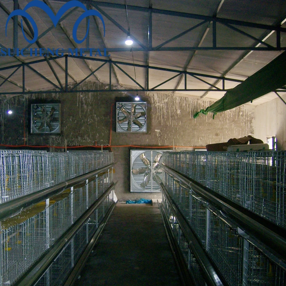2024 Guangzhou Factory 48 birds capacity Galvanized broiler chicken cages