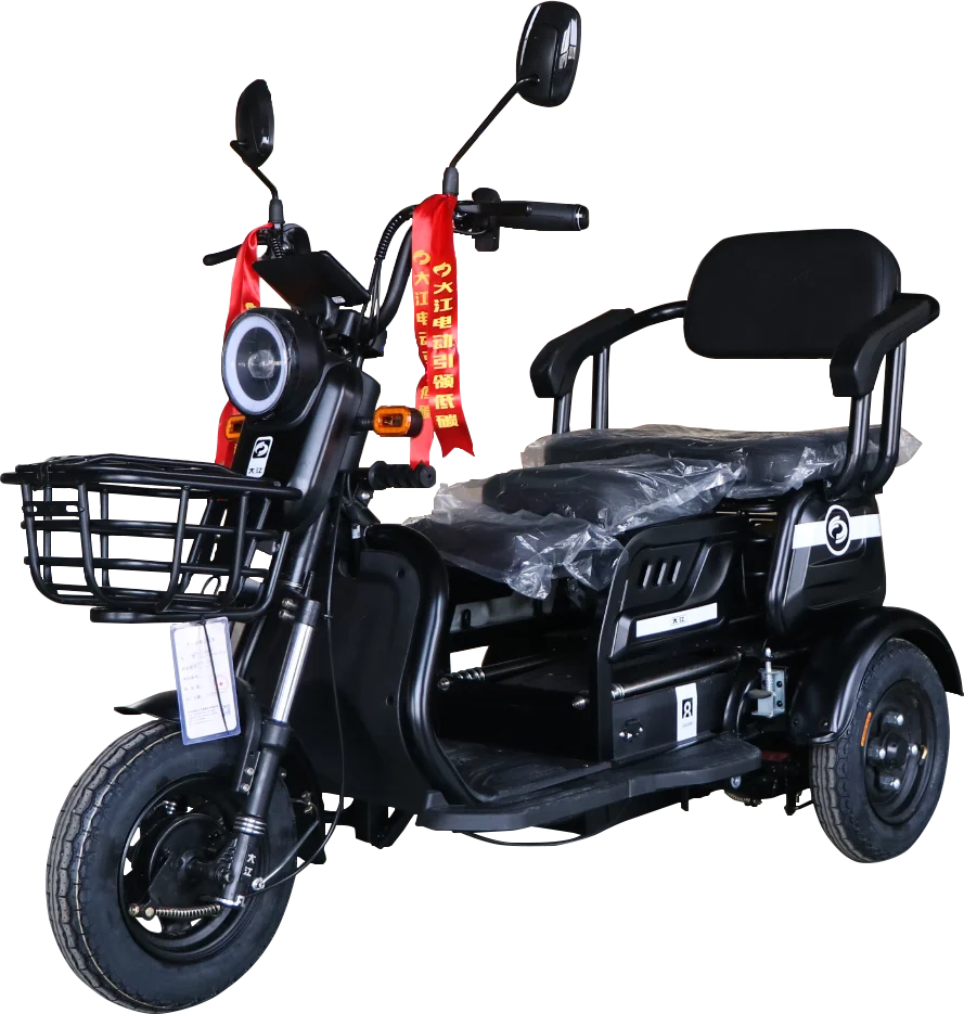 Adult electric tricycle