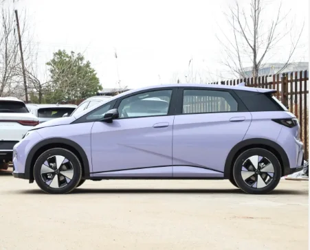 Byd - Dolphin 2024 Glory version 302km Vitality version