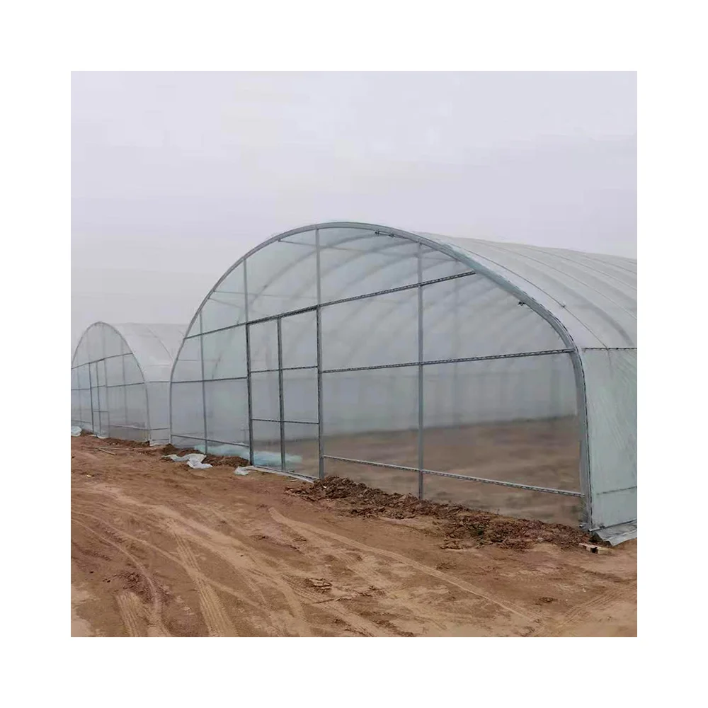 Greenhouses farming with strong greenhouse structure agricultural or commerical invernadero