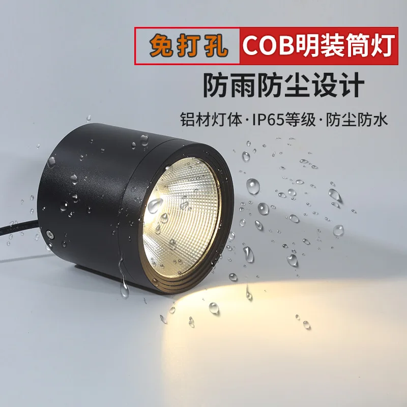 Waterproof Ip65 Surface Mounted Spotlight Down Light Spot Lamp Cob 7W 12W 20W 30W Outdoor Balcony Terrace Ceiling Led Downlight