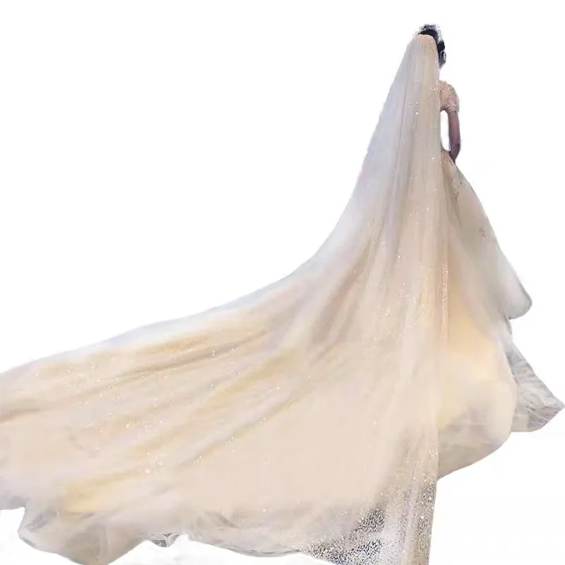 Starry sky bright flashing veil long tail tail net celebrity photo master wedding bride wedding gold spray headdress gift metal