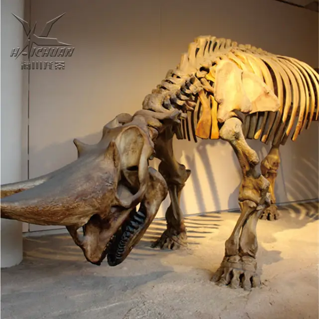 Парк динозавров Юрского периода окаменелость настоящий Скелет t-rex для продажи
