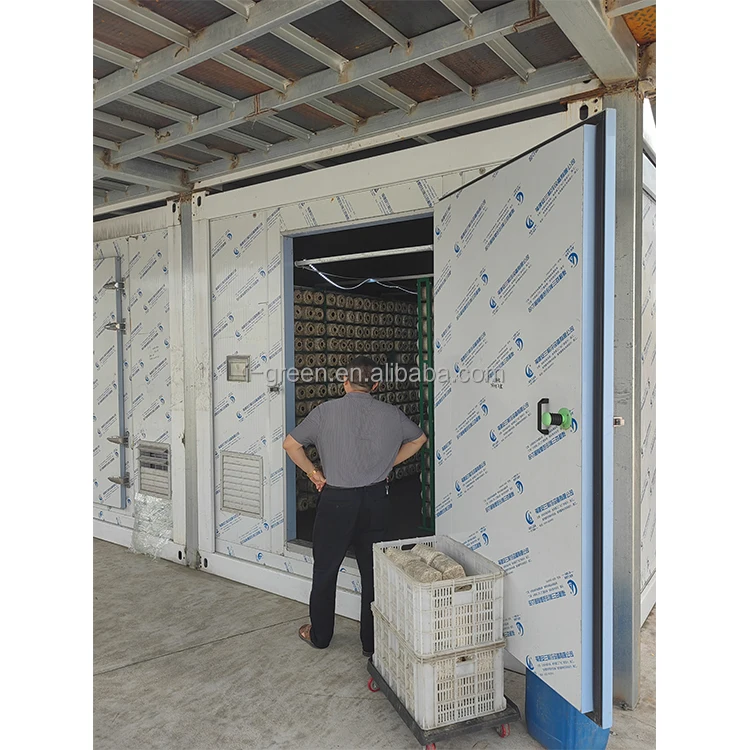 greenhouse for mushroom cultivation outdoor mushroom greenhouse indoor mushroom greenhouse