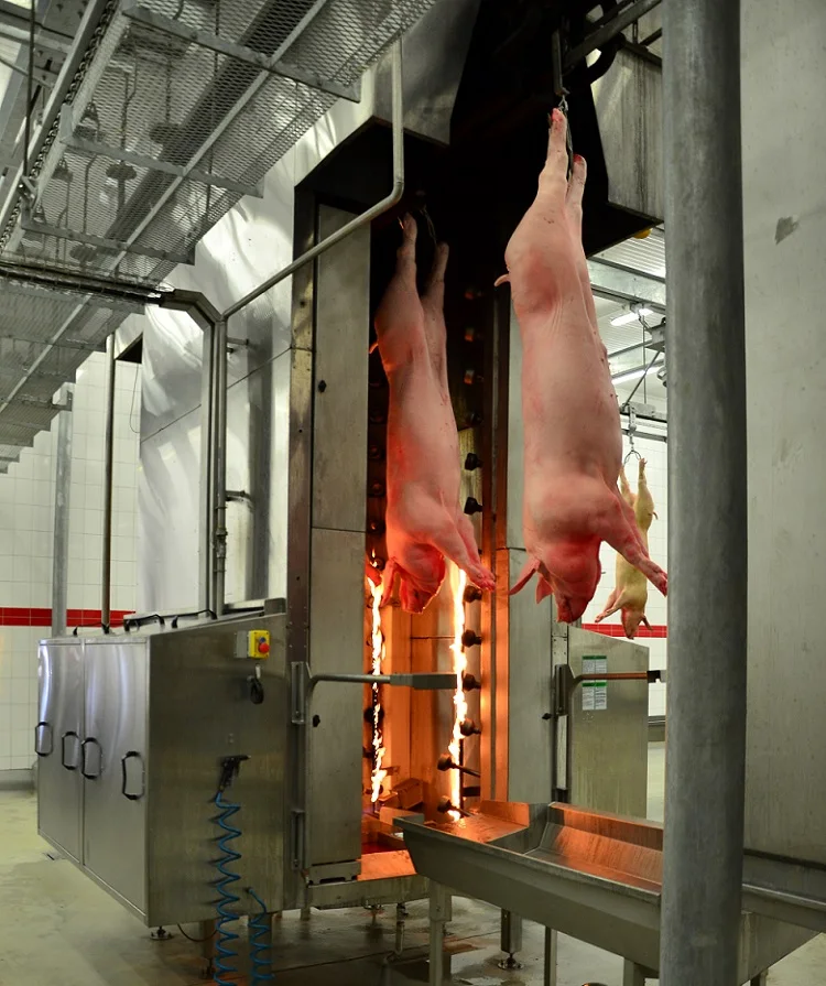 slaughtering equipment pig hair singeing burning furnaces machine