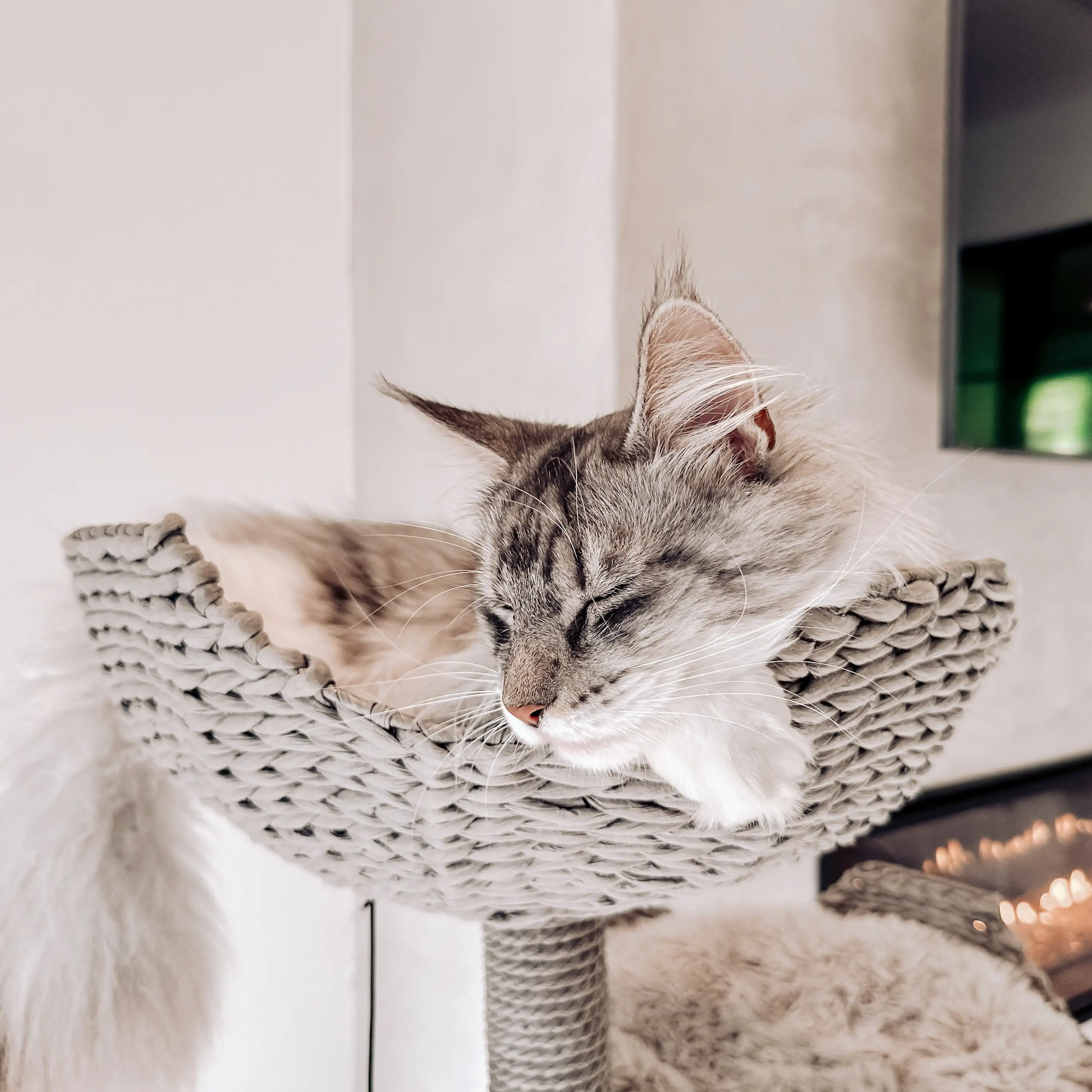 Factory Price Perfect Christmas Gift Can Customized Multifunctional Solid Wood Cat Tree 3 Levels Cat Scratching Tree