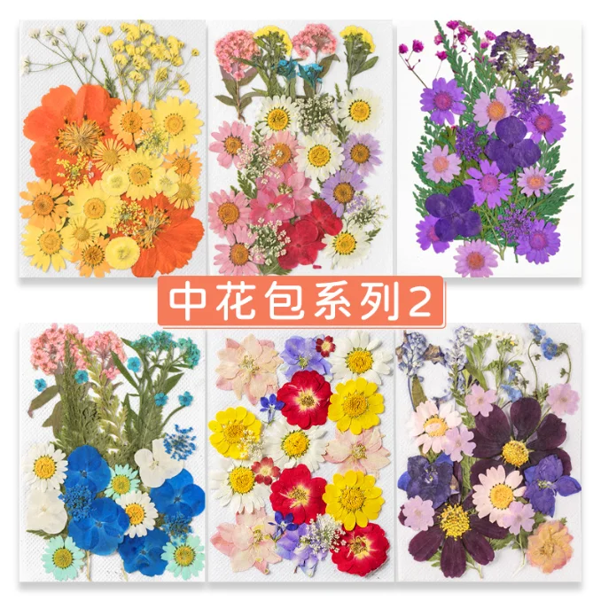 Hot Sale DIY Art Crafts Various Dried Pressed Flower Kits for Scrapbooking Epoxy Resin Jewelry Molds Candle Soap Making