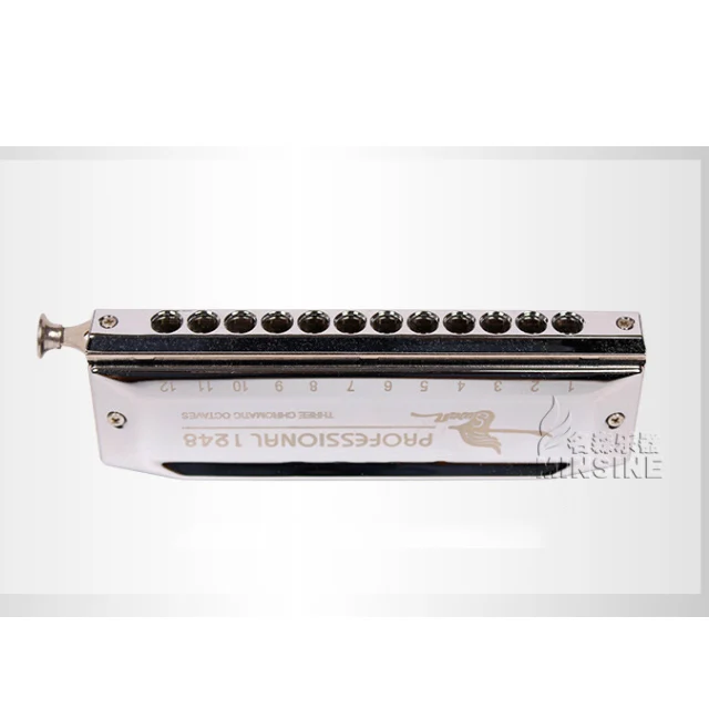 SW1248-5 12 отверстий 48 тонов толстый выдув рот тренировка воспроизведение Хроматическая гармоника серебристый