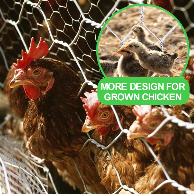 Hexagonal Wire Netting Galvanized /PVC Coated Hexagonal Wire Mesh Chicken Fence For Poultry Farm Mesh Net