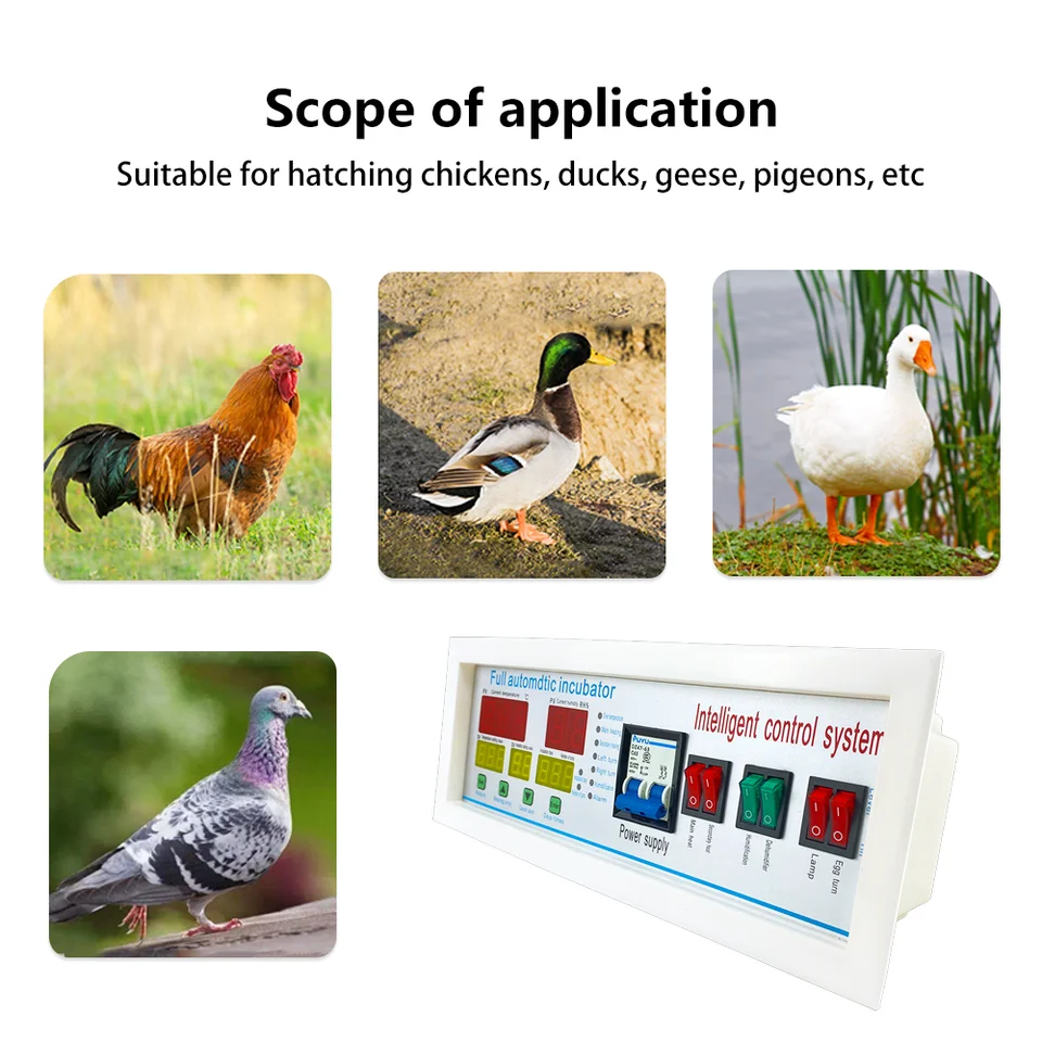 Temperature control instrument temperature and humidity controller fully automatic household incubator accessories