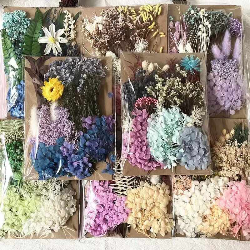Natural Plant Handmade Craft Flowers Preserved Hydrangea DIY Dried Flowers for Sale