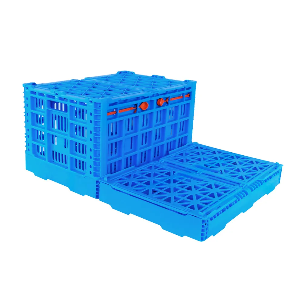 Plastic Collapsible Crate Vegetables Foldable Crate For Sale