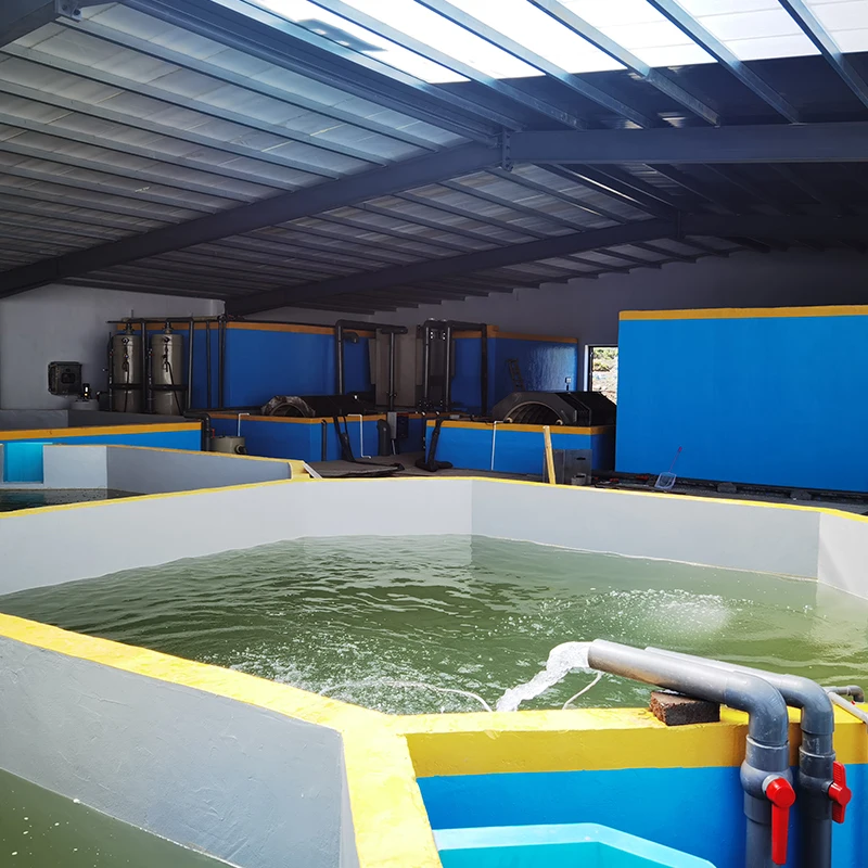 Поворотный Барабанный Фильтр Ewater для