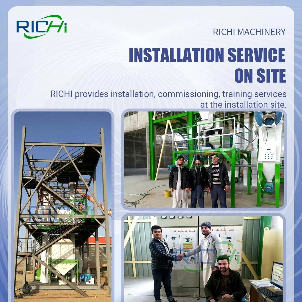 RICHI 5-7 T/H Animal Livestock Cows Pig Poultry Chicken Layer Hen Feed Production Line of Feedstuff
