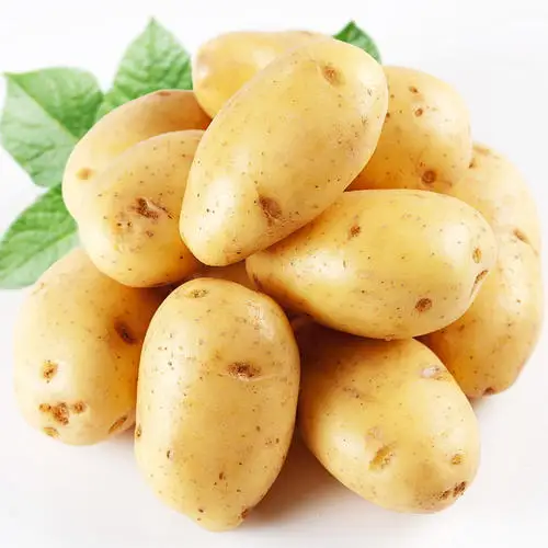 
2021 New Cultivated Best Quality Fresh Yellow Skin Potatoes With Lowest Price From China 