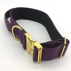 Customized Nylon Webbing Waterproof Dog Collar Light and Cute High End Dog Collar