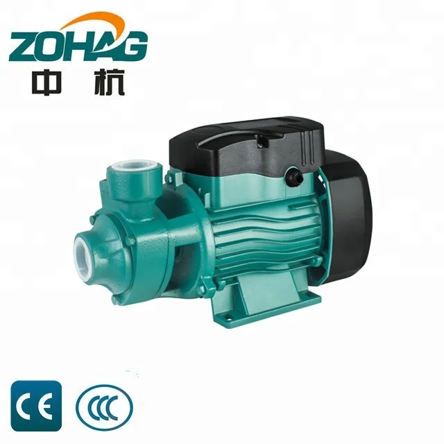 0.75HP/1HP Model QB60 Irrigation Agriculture OEM Supported  High Pressure Electric 220V Domestic Single-Stage Vortex Water Pump