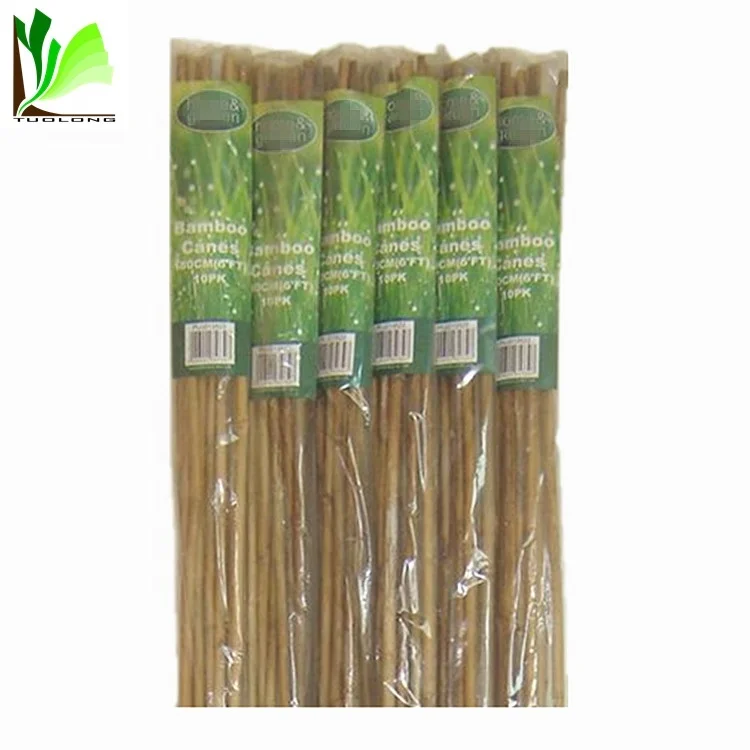Tonkin Bamboo Canes Bamboo Cane Prices